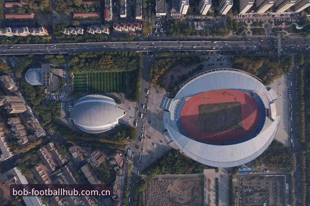 辽宁铁人夏窗重建观察指南：从瓦吉奇去留看懂徐正源的战术蓝图